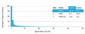 Analysis of protein array containing more than 19,000 full-length human proteins using Anti-MerTK Antibody [MERTK/3024] Z-Score and S- Score