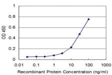 Anti-NHLH2 Mouse Monoclonal Antibody [clone: 3E3]