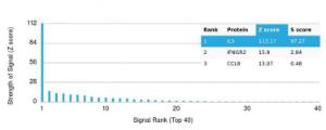 Analysis of protein array containing more than 19,000 full-length human proteins using Anti-IL-5 Antibody [IL5/4161