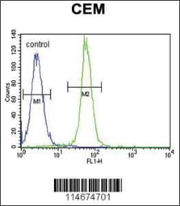 Anti-K1609 Rabbit Polyclonal Antibody