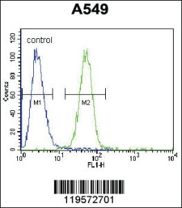 Anti-CARD16 Rabbit Polyclonal Antibody [clone: 193CT15.2.2]