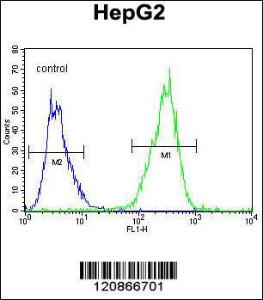 Anti-GLRX3 Rabbit Polyclonal Antibody (AP (Alkaline Phosphatase))