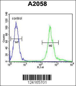 Anti-MRPS24 Rabbit Polyclonal Antibody (FITC (Fluorescein Isothiocyanate))