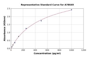 Representative standard curve for Human PLGF ELISA kit (A78649)