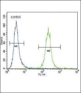 Anti-IREB2 Rabbit Polyclonal Antibody (FITC (Fluorescein Isothiocyanate))