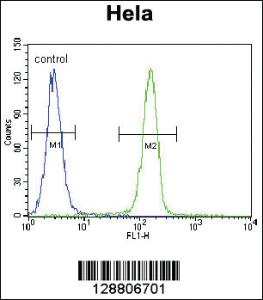 Anti-SELV Rabbit Polyclonal Antibody [clone: 201CT8.2.3]