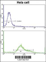 Anti-TFRC Rabbit Polyclonal Antibody