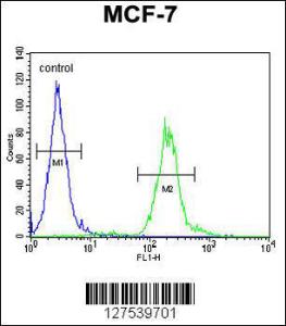 Anti-AVPI1 Rabbit Polyclonal Antibody (Biotin)