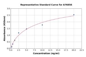 Representative standard curve for Human KPNA2 ELISA kit (A76856)