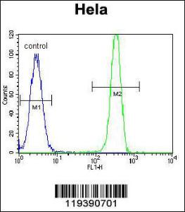 Anti-MSH2 Rabbit Polyclonal Antibody (FITC (Fluorescein Isothiocyanate))