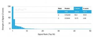 Analysis of protein array containing more than 19000 full-length human proteins using Anti-Prohibitin Antibody [PHB/3229]