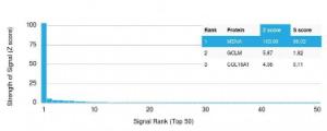 Analysis of protein array containing more than 19,000 full-length human proteins using Anti-ENAH Antibody [ENAH/1988] Z-Score and S- Score