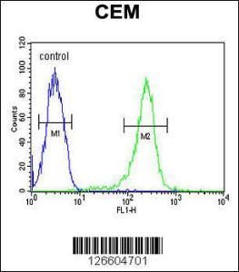 Anti-HAUS5 Rabbit Polyclonal Antibody (AP (Alkaline Phosphatase))