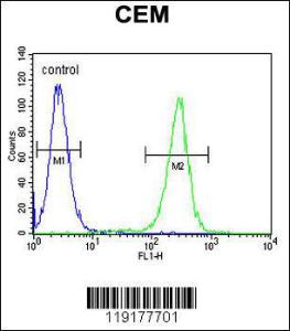 Anti-MSI1 Rabbit Polyclonal Antibody (HRP (Horseradish Peroxidase))