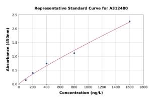 Representative standard curve for Mouse MCM2 ELISA kit (A312480)