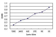 Anti-PTGES2 Antibody Pair