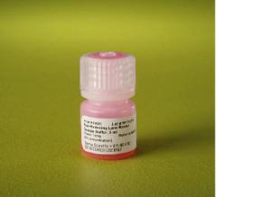 Pierce™ Lane marker non reducing sample buffer