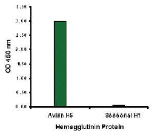 Anti-Influenza A, Avian, H5N1, Hemagglutinin Mouse Monoclonal Antibody [clone: 7G46]