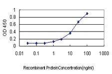 Anti-FAM234A Mouse Monoclonal Antibody [clone: 3D2]