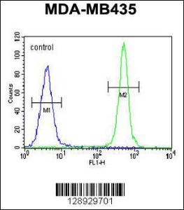 Anti-ALKBH6 Rabbit Polyclonal Antibody (AP (Alkaline Phosphatase))