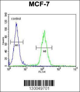 Anti-USF1 Rabbit Polyclonal Antibody (AP (Alkaline Phosphatase))