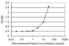 Anti-ANXA3 Polyclonal Antibody Pair