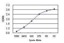 Anti-RNF133 Antibody Pair