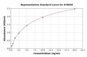 Representative standard curve for Human PON2 ELISA kit (A78656)