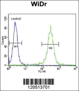 Anti-PCDHA9 Rabbit Polyclonal Antibody