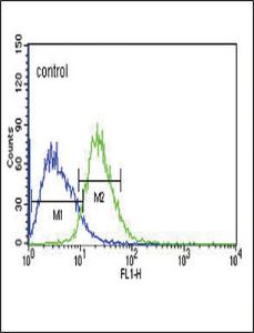 Anti-SLC25A1 Rabbit Polyclonal Antibody (FITC (Fluorescein Isothiocyanate))