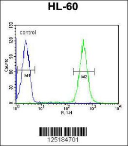 Anti-APOBEC2 Rabbit Polyclonal Antibody (Biotin)