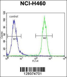 Anti-CCDC63 Rabbit Polyclonal Antibody