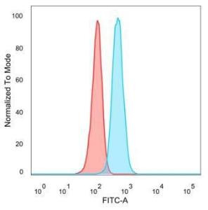 Flow cytometric analysis of PFA-fixed HeLa cells using Anti-TDRKH Antibody [PCRP-TDRKH-1H2] followed by Goat Anti-Mouse IgG (CFand#174; 488) (Blue). Unstained cells (Red)