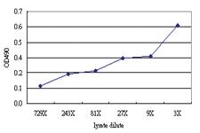 Anti-NTRK2 Antibody Pair