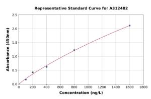 Representative standard curve for Human IRF7 ELISA kit (A312482)