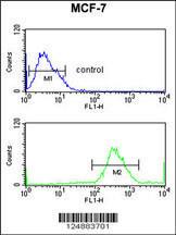 Anti-IRGQ Rabbit Polyclonal Antibody