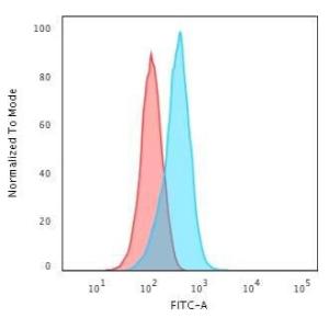 Flow cytometric analysis of human K562 cells using Anti-IGF1 Antibody [IGF1/2872R] followed by Goat Anti-Mouse IgG (CF&#174; 488) (Blue). Isotype Control (Red).