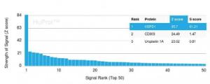 Analysis of protein array containing more than 19,000 full-length human proteins using Anti-HSP60 Antibody [HSPD1/780] Z-Score and S- Score