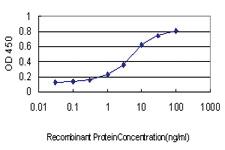 Anti-RAB3B Mouse Monoclonal Antibody [clone: 3F12]