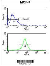 Anti-DIO2 Rabbit Polyclonal Antibody (HRP (Horseradish Peroxidase))