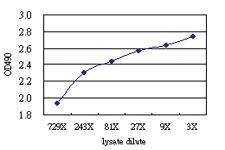 Anti-NTRK2 Antibody Pair