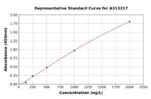 Representative standard curve for human MTH1 ELISA kit (A313217)