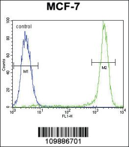 Anti-KSR2 Rabbit Polyclonal Antibody [clone: 302CT2.3.2]