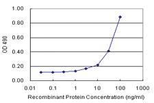 Anti-CDH1 Antibody Pair