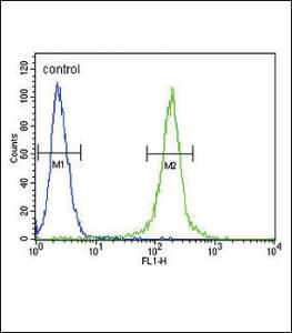 Anti-AMH Rabbit Polyclonal Antibody