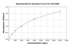 Representative standard curve for Human SOX10 ELISA kit (A310368)