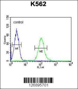 Anti-UBAC1 Rabbit Polyclonal Antibody (APC (Allophycocyanin))