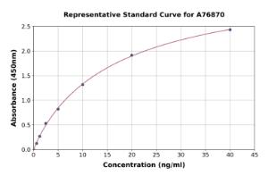 Representative standard curve for Human Laminin beta 2 ELISA kit (A76870)