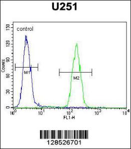 Anti-AMN1 Rabbit Polyclonal Antibody (HRP (Horseradish Peroxidase))