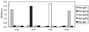 Rat immunoglobulin isotyping by ELISA using rat primary antibodies and HRP conjugated KT96, KT97, KT98 and KT99 as secondary antibodies